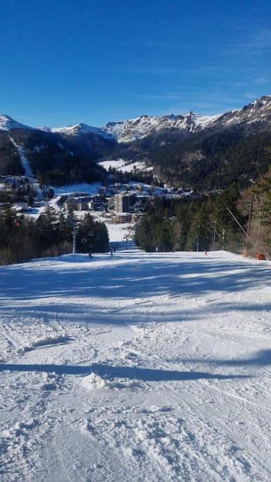 Chalet, Murat Holiday home Murat (Cantal)